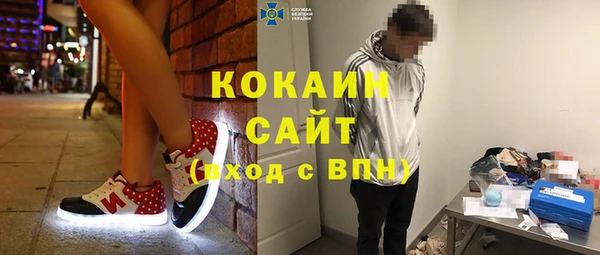 Альфа ПВП Пересвет