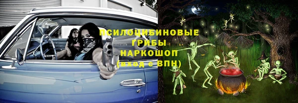 Альфа ПВП Пересвет