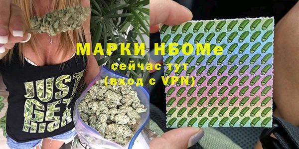 кокс Алексин